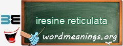 WordMeaning blackboard for iresine reticulata